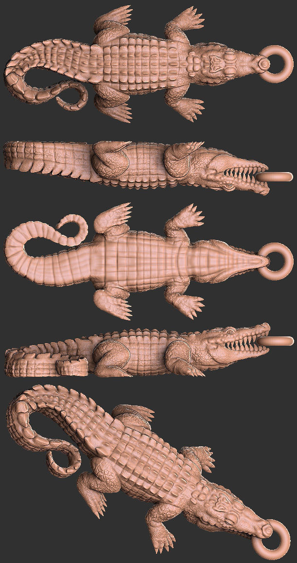 Crocodile  3D print model_2