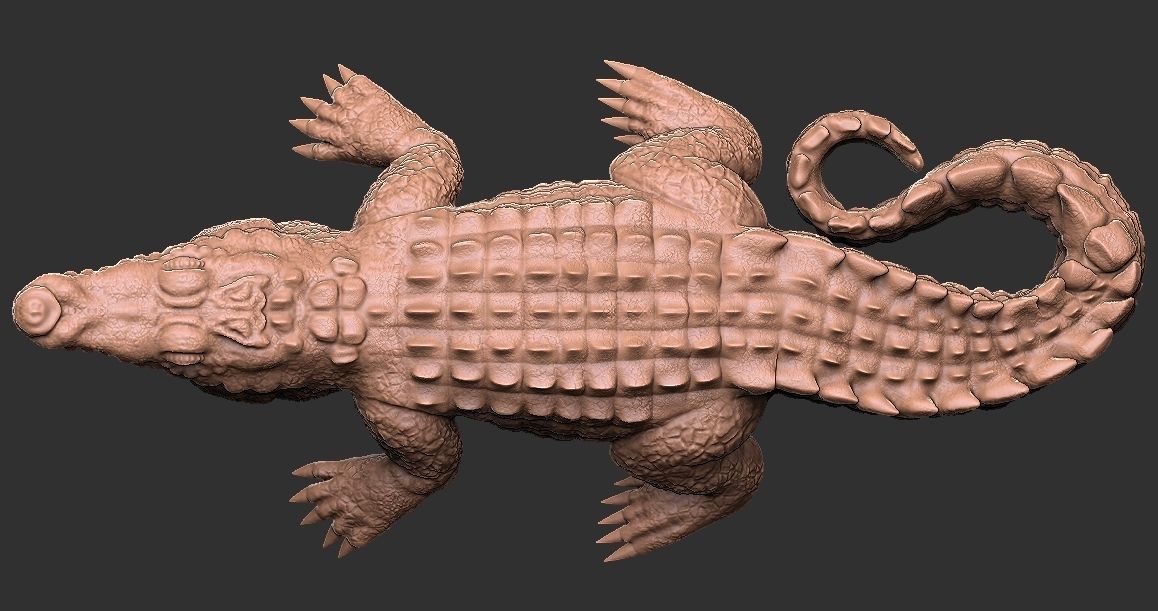 Crocodile  3D print model_10