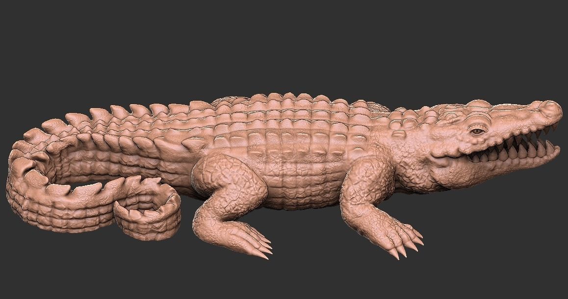 Crocodile  3D print model_4