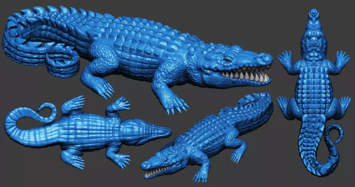 Crocodile  3D print model_0