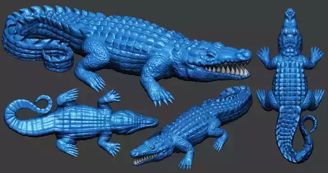 Crocodile 