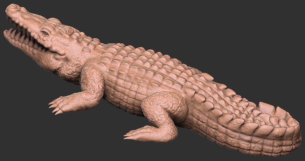 Crocodile  3D print model_9