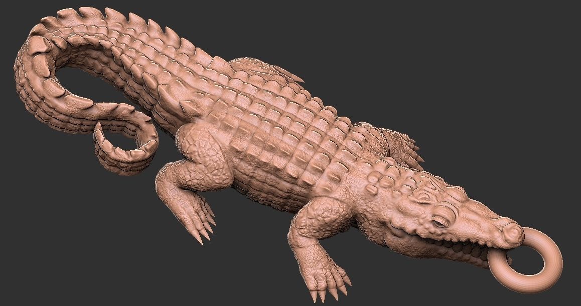 Crocodile  3D print model_1