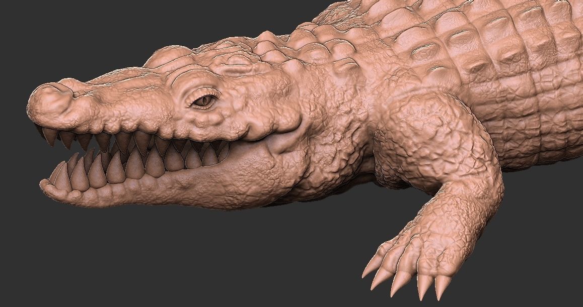 Crocodile  3D print model_11