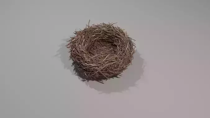 Realistic Bird nest