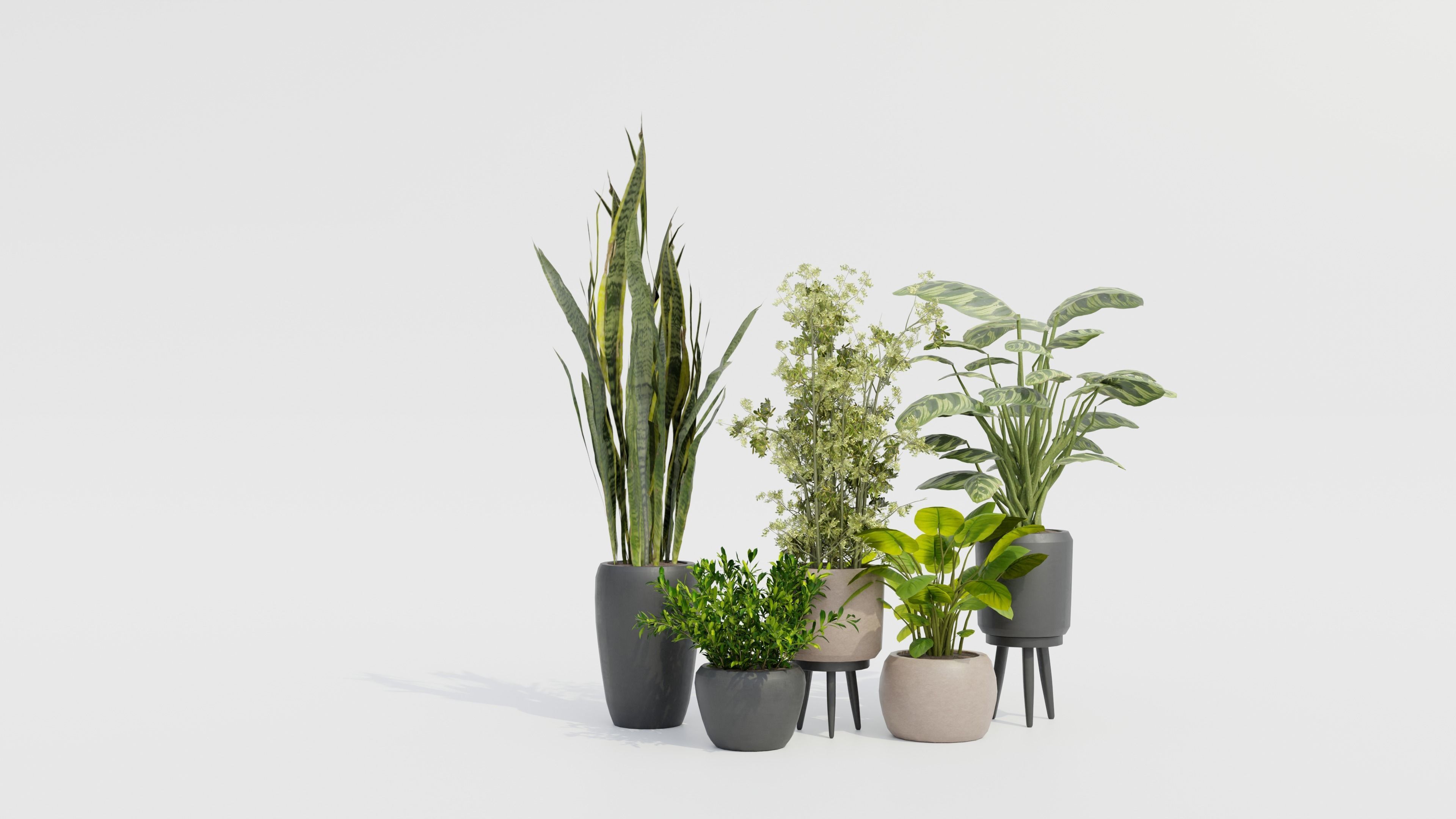 Pots with Plants Low-poly 3D model_2