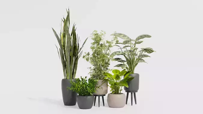 Pots with Plants Low-poly 3D model