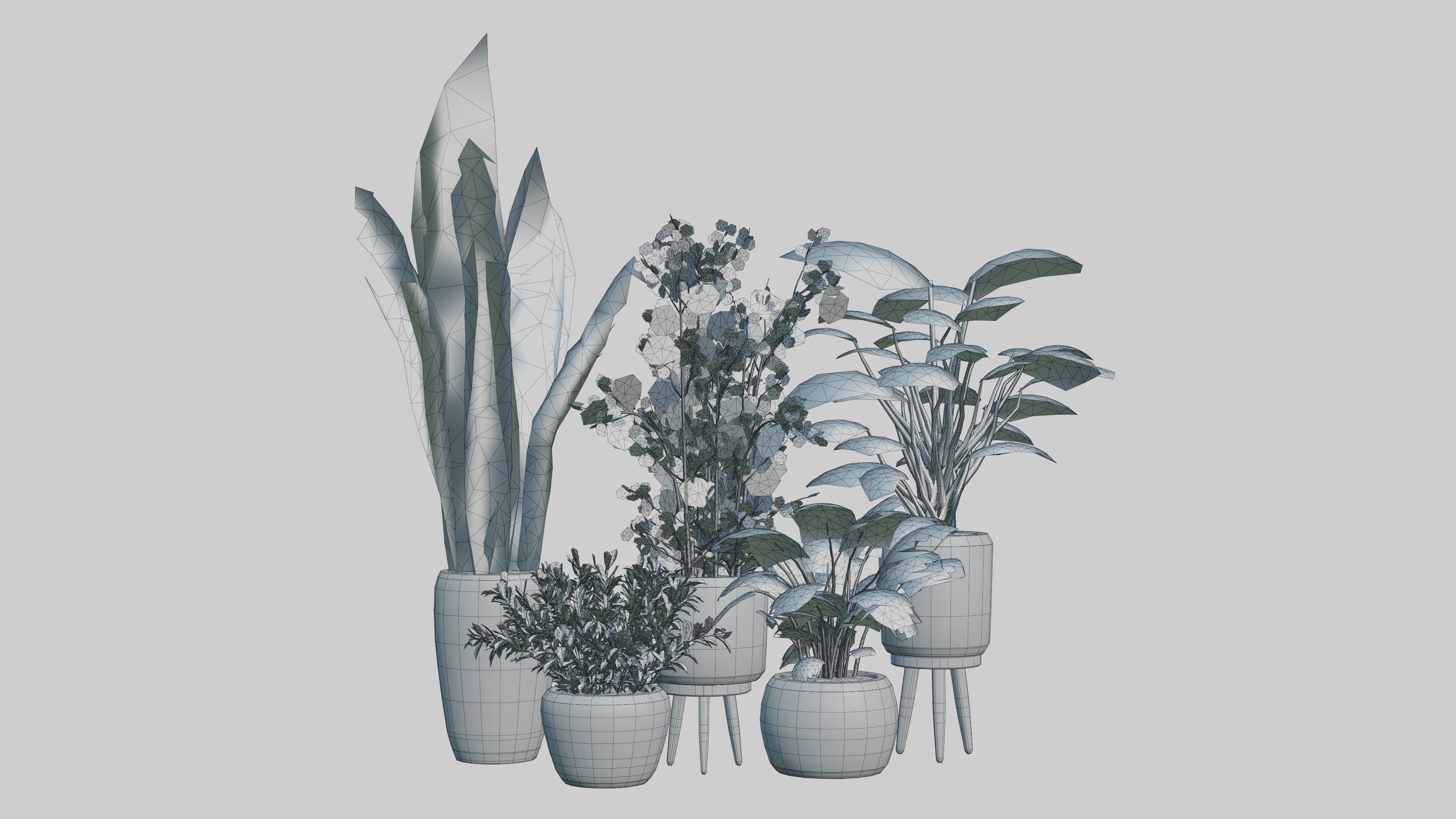 Pots with Plants Low-poly 3D model_3