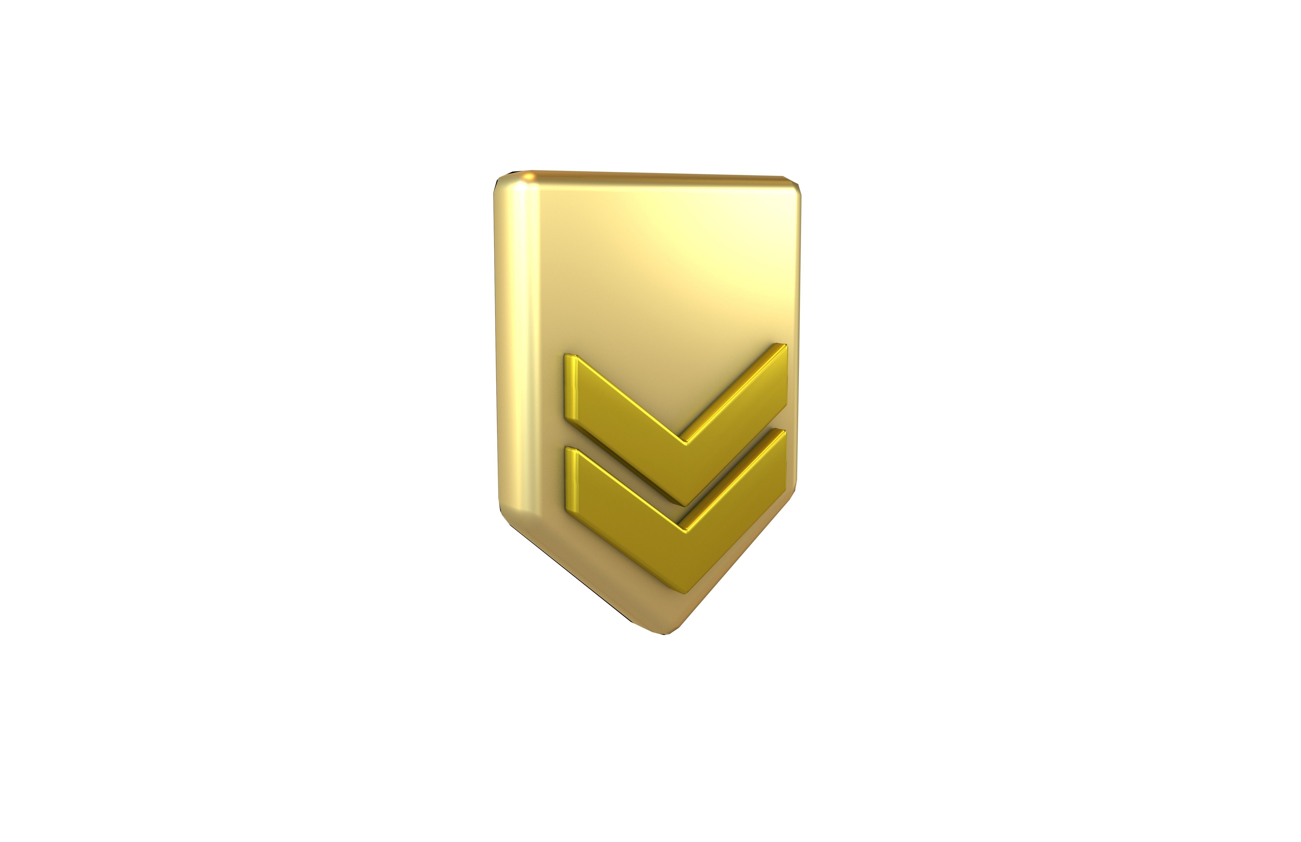 Rank Medal v3 008 Low-poly 3D model_1