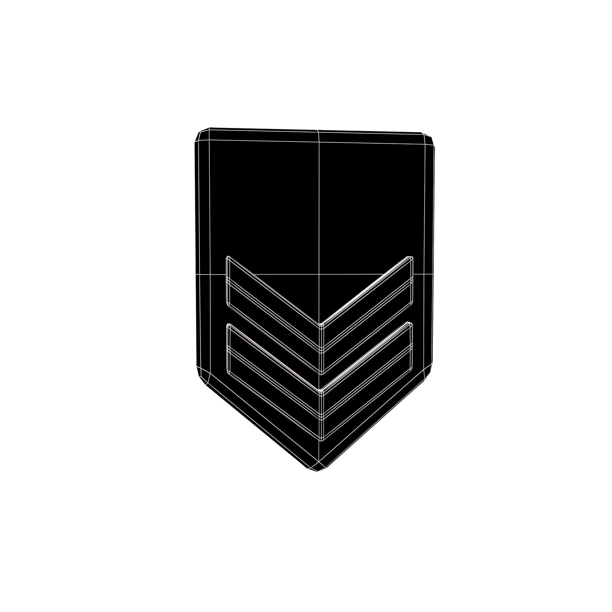 Rank Medal v3 008 Low-poly 3D model_5
