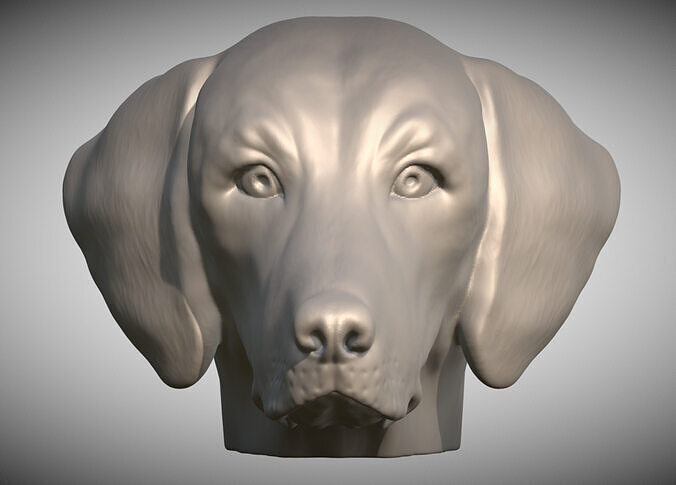 Weimaraner dog head for 3D printing 3D print model
