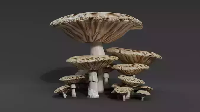 Mushroom