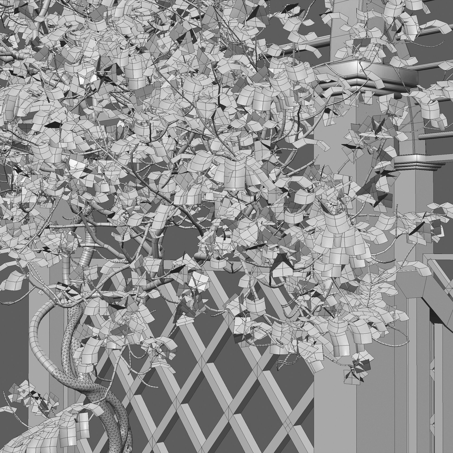Bougainvillea 16 - Gate garden 3D model_4