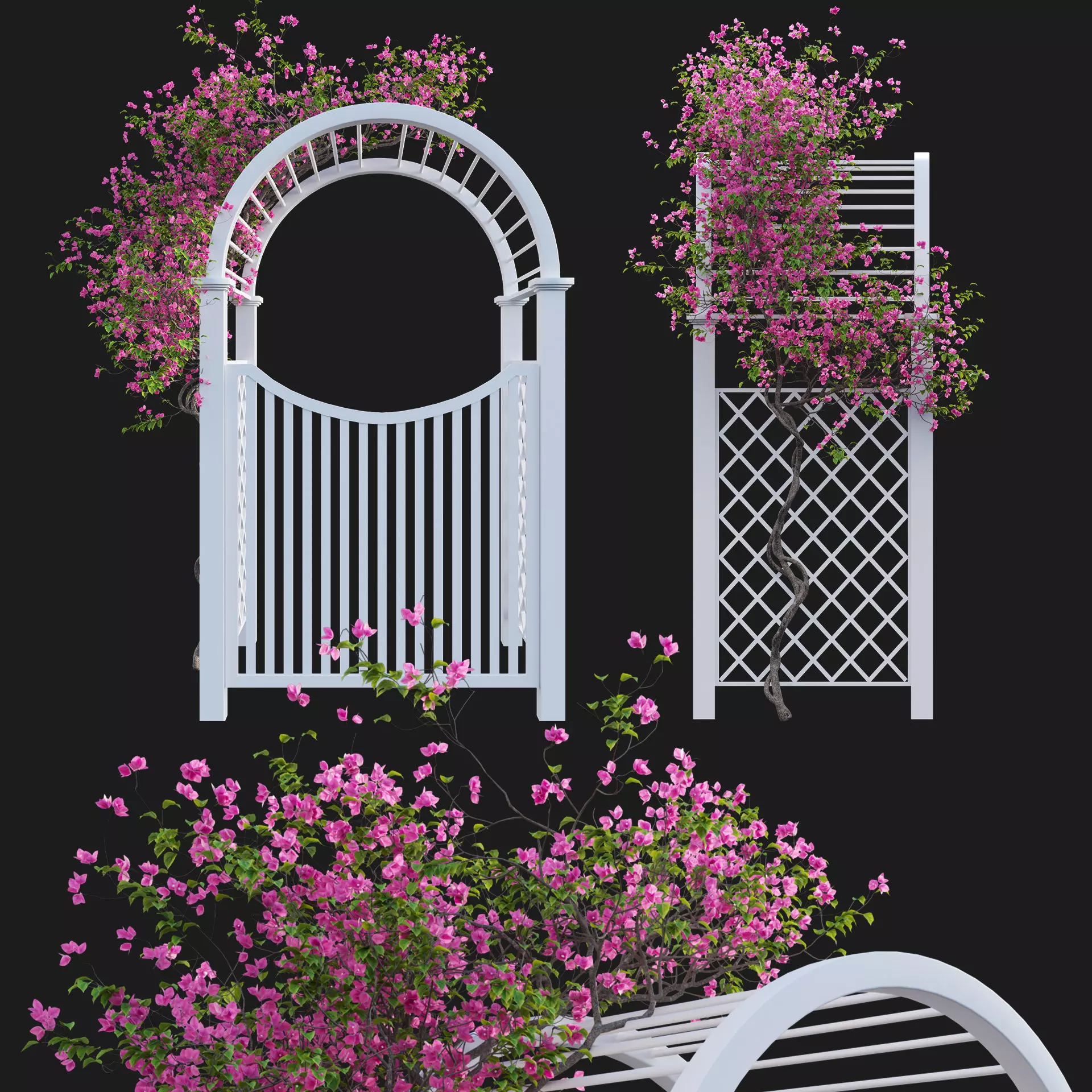 Bougainvillea 16 - Gate garden 3D model_0