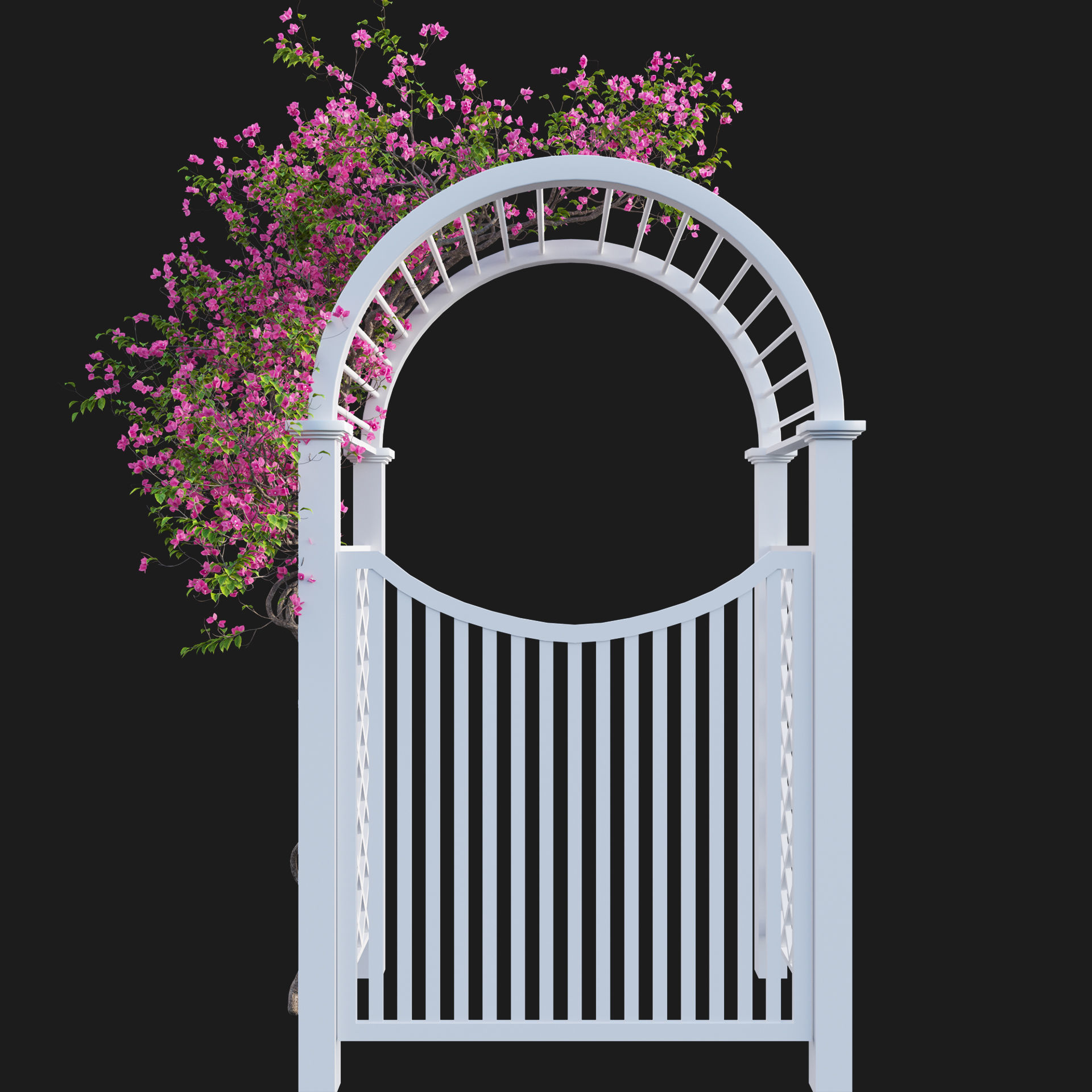 Bougainvillea 16 - Gate garden 3D model_1