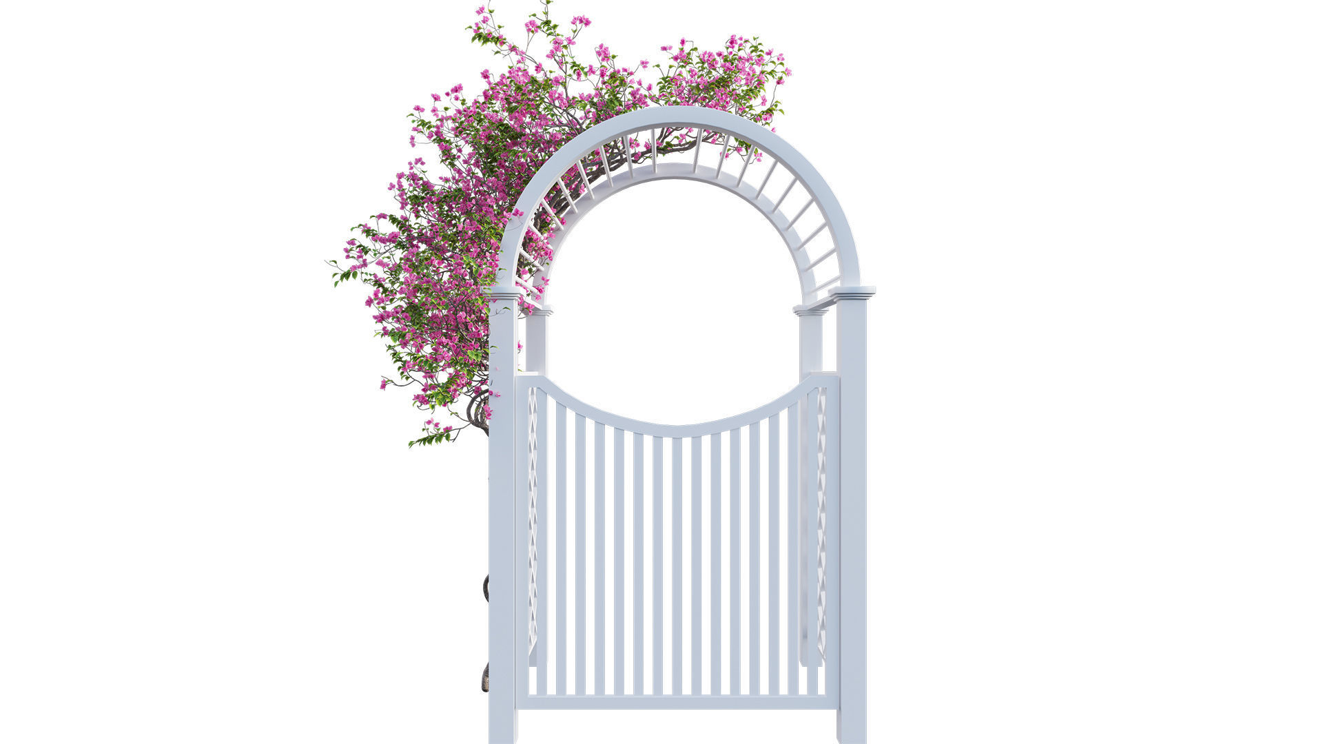 Bougainvillea 16 - Gate garden 3D model_5