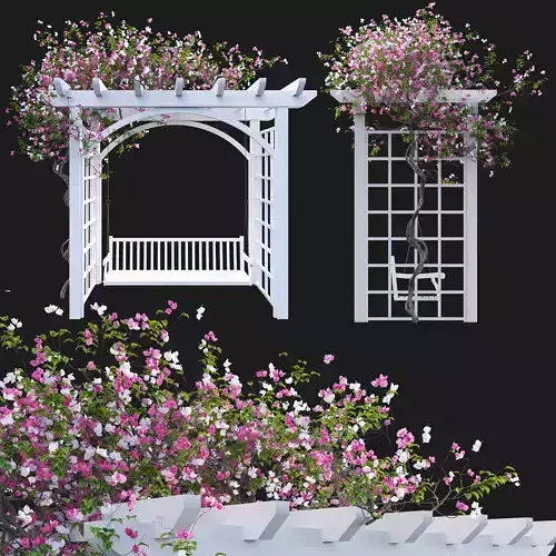 Bougainvillea 15 - Swing garden