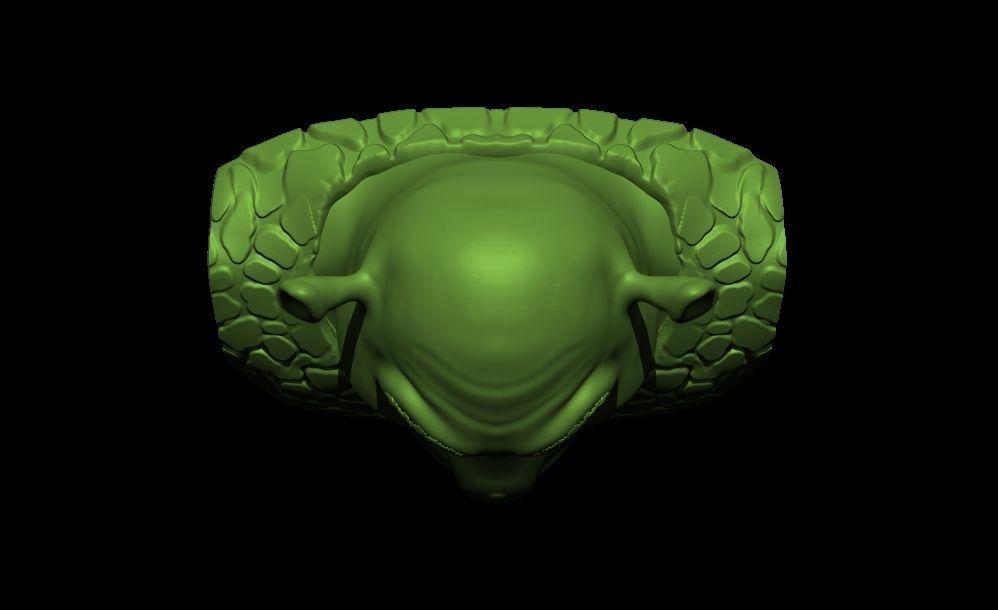 shrek head 3d model for 3d print 3D print model_6