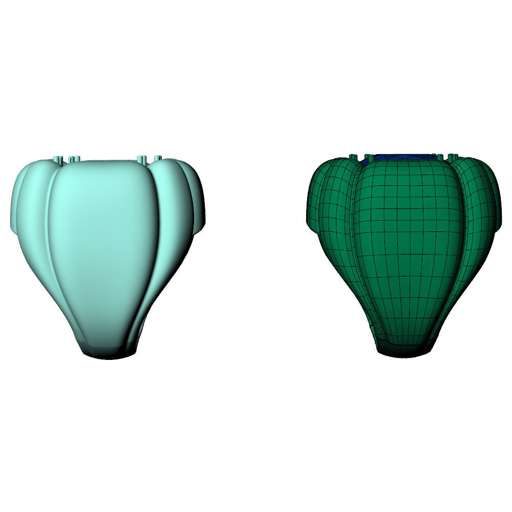Dulcis Ring S 3D print model_12