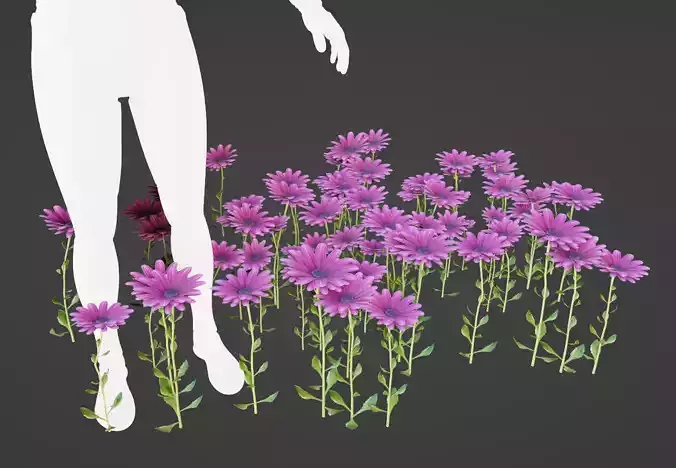 Purple Daisy Pbr  Low-poly 3D model