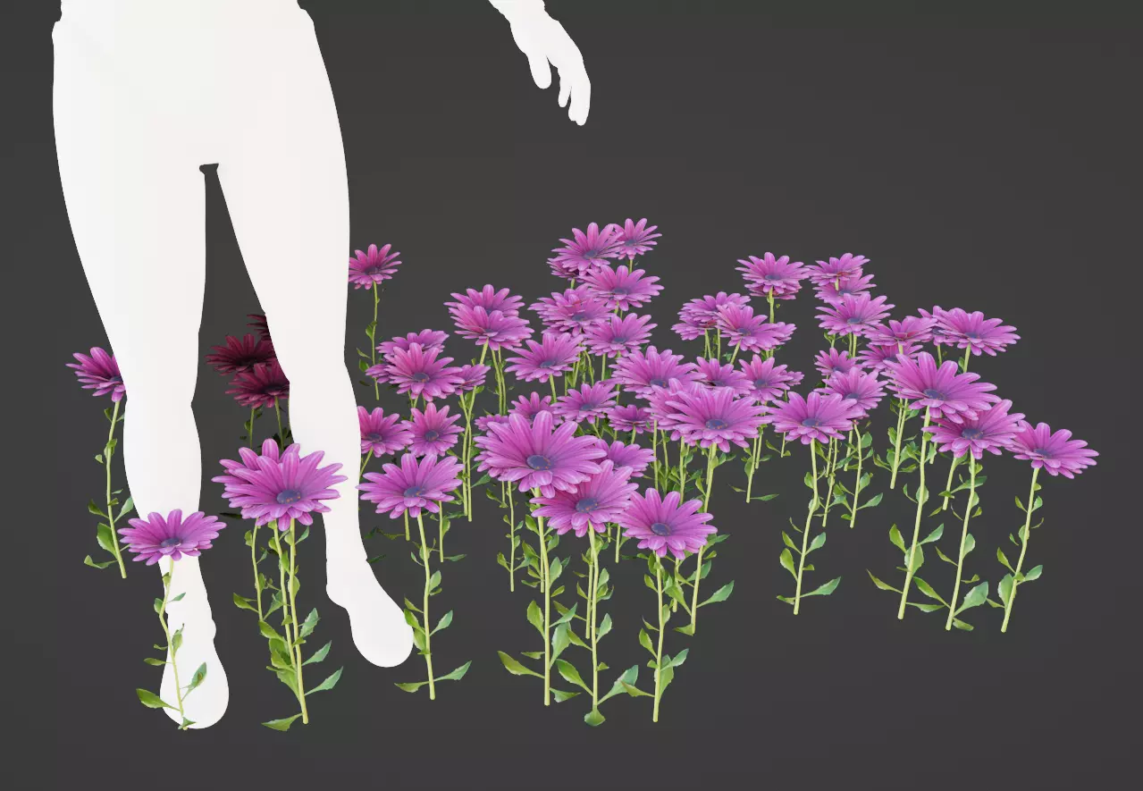 Purple Daisy Pbr  Low-poly 3D model_0