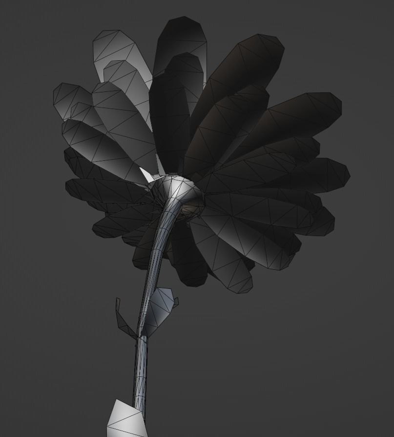 Purple Daisy Pbr  Low-poly 3D model_4