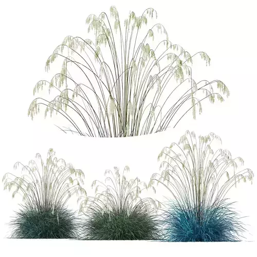 Plants Helictotrichon Sempervirens Pendula Avoine Blue Version03 3D model