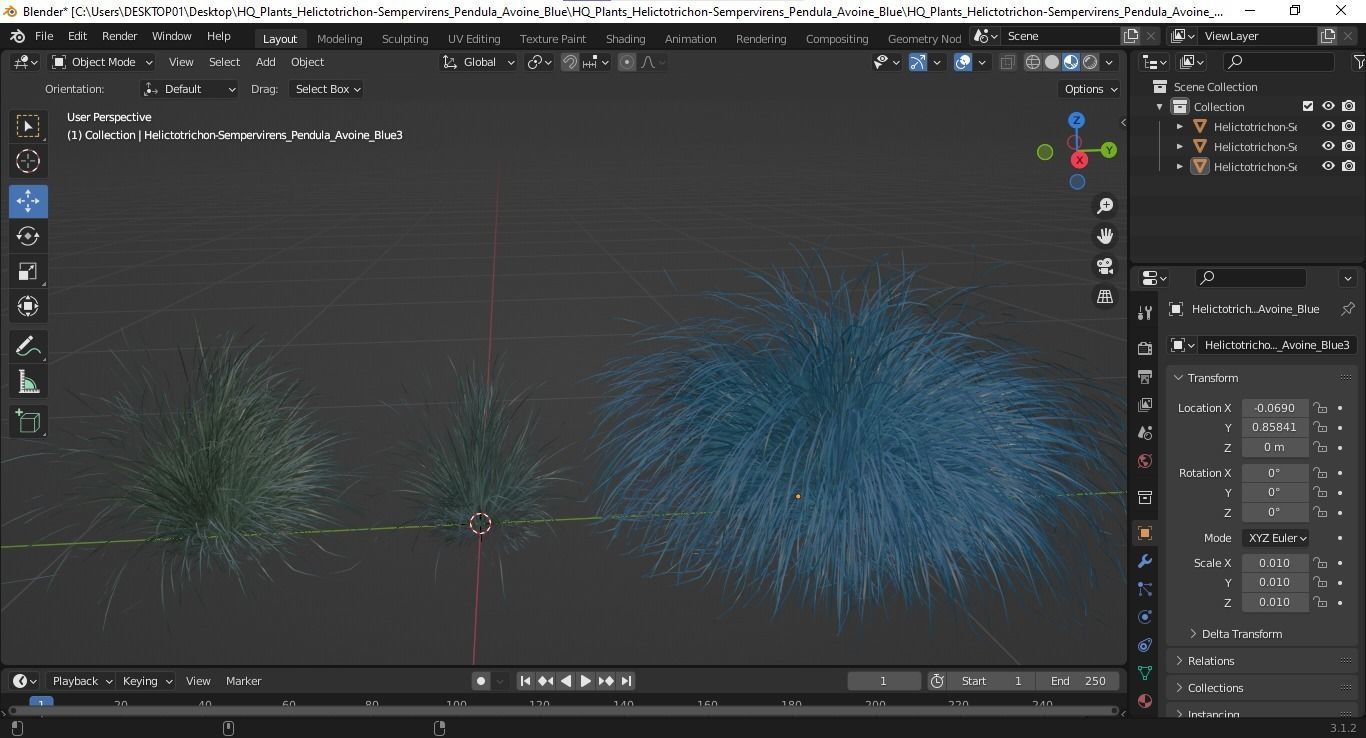 Plants Helictotrichon Sempervirens Pendula Avoine Blue 3D model_5