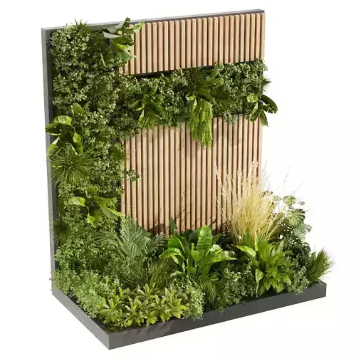 Collection plant vol 482 - garden - leaf - palm - grass