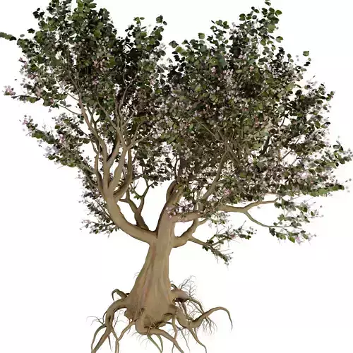 blossom tree Low-poly 3D model