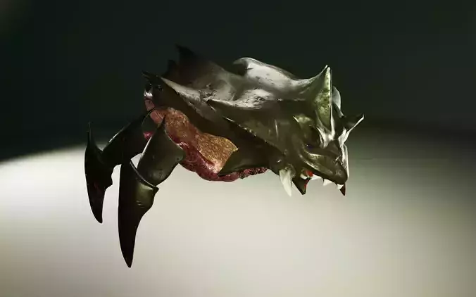 Monster Spider - The shell