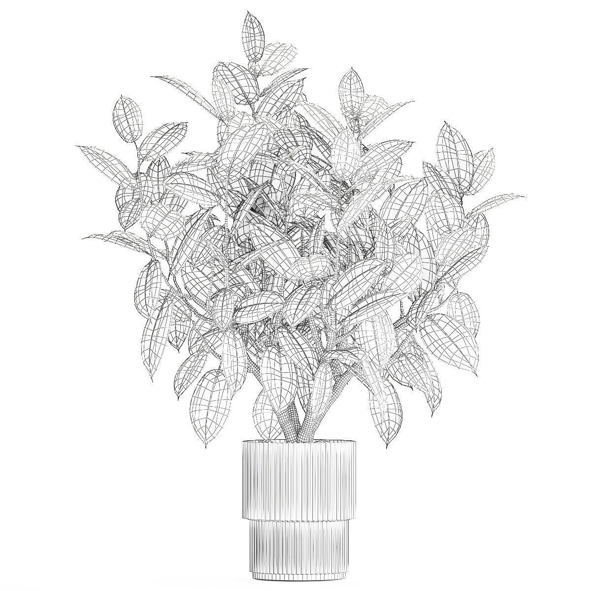 Beautiful Ficus Elastica Tree In A Flower Pot 1260 3D model_14