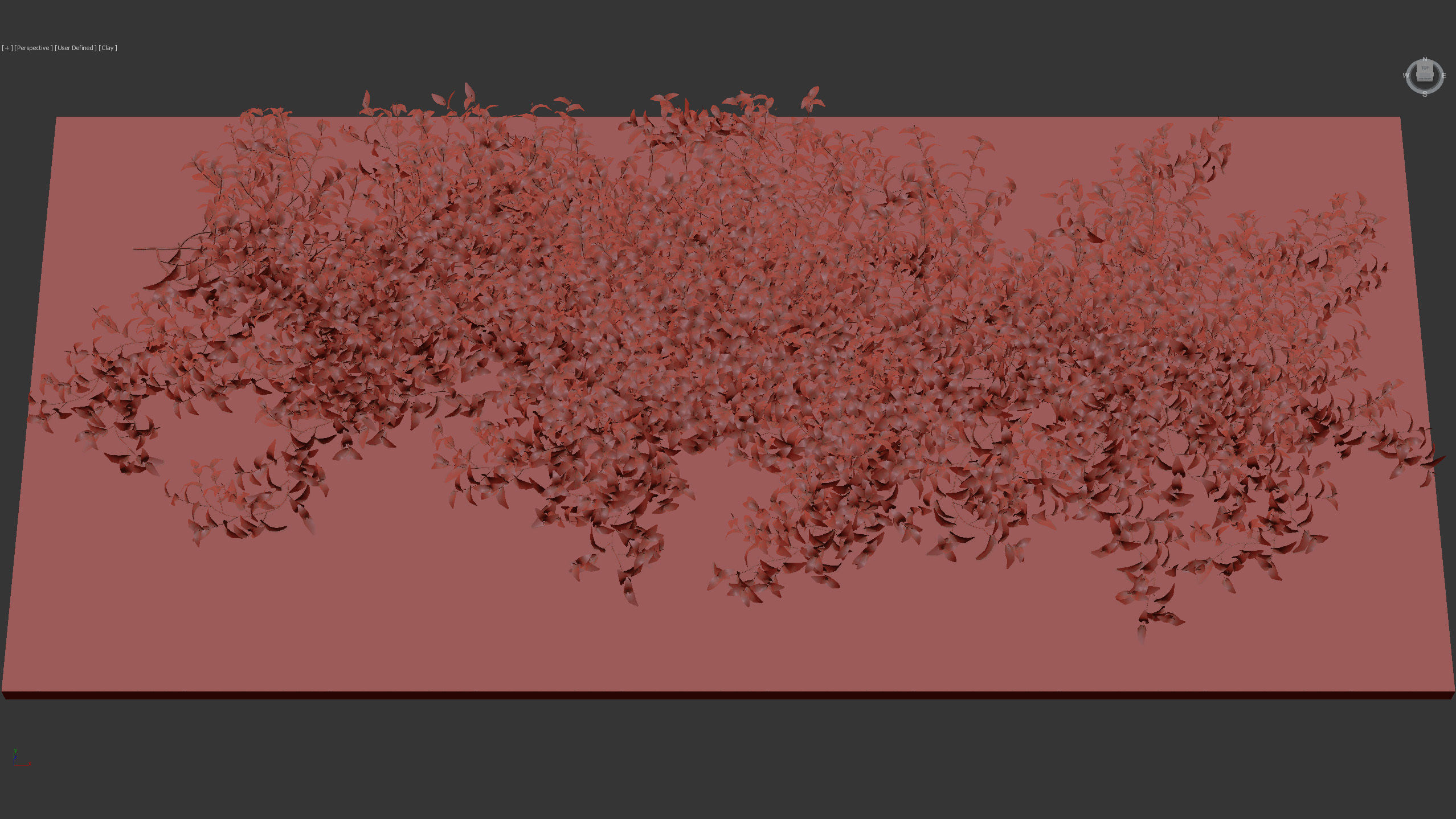 Tradescantia zebrina Wandering jew 3D Model 3D model_11