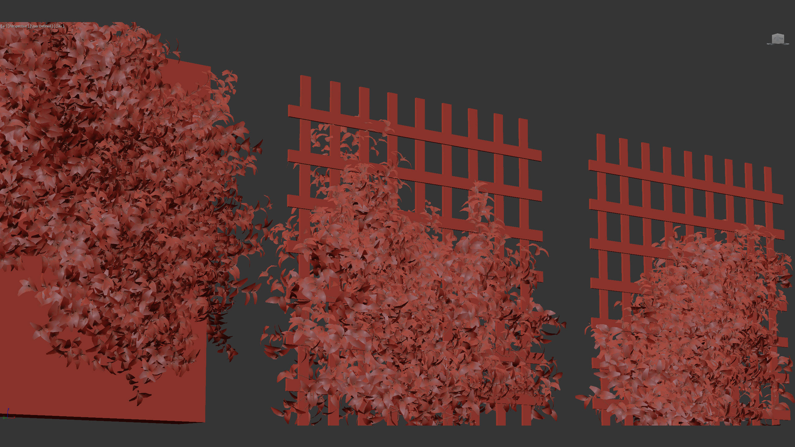 Tradescantia zebrina Wandering jew 3D Model 3D model_13