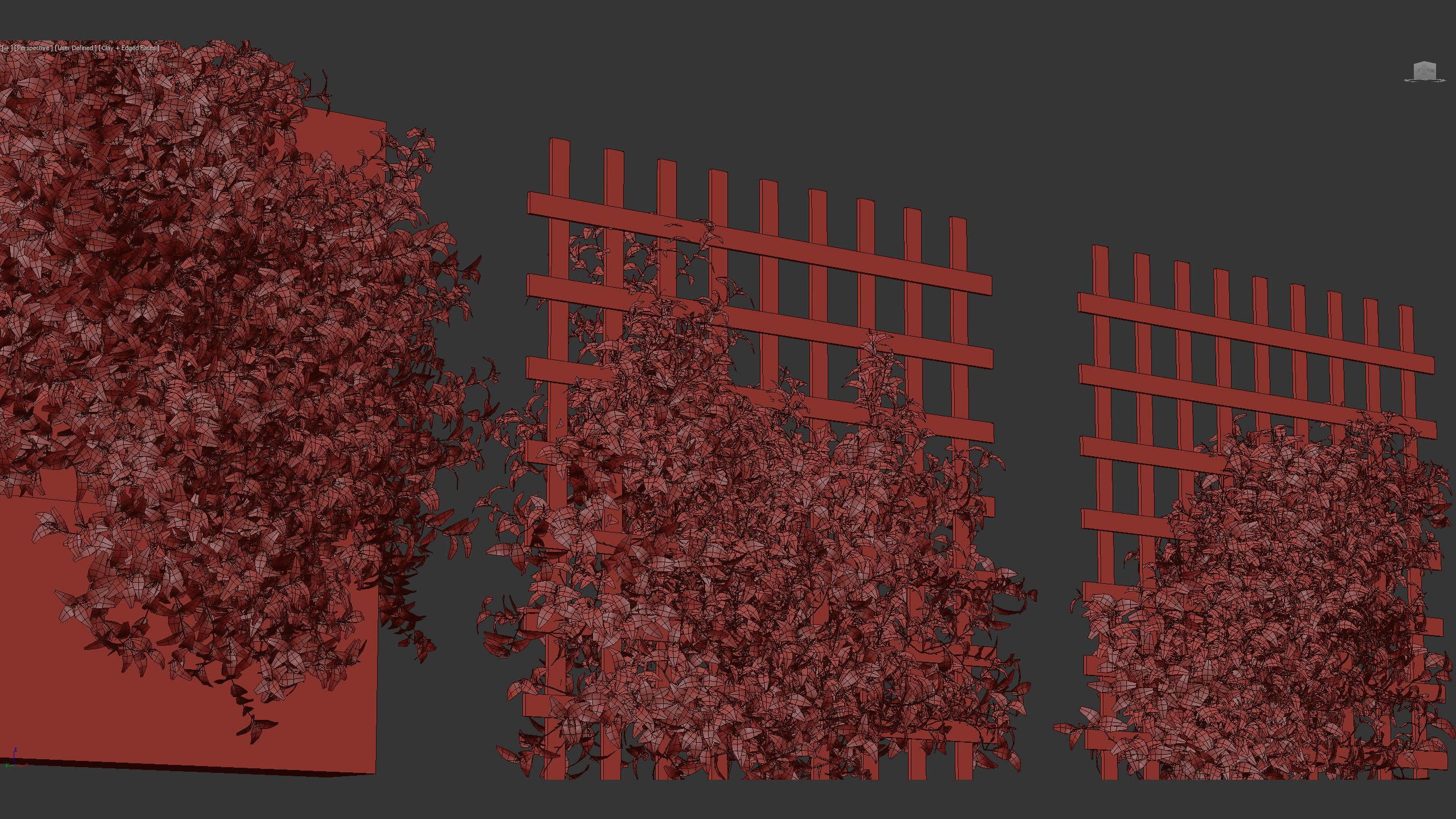 Tradescantia zebrina Wandering jew 3D Model 3D model_14