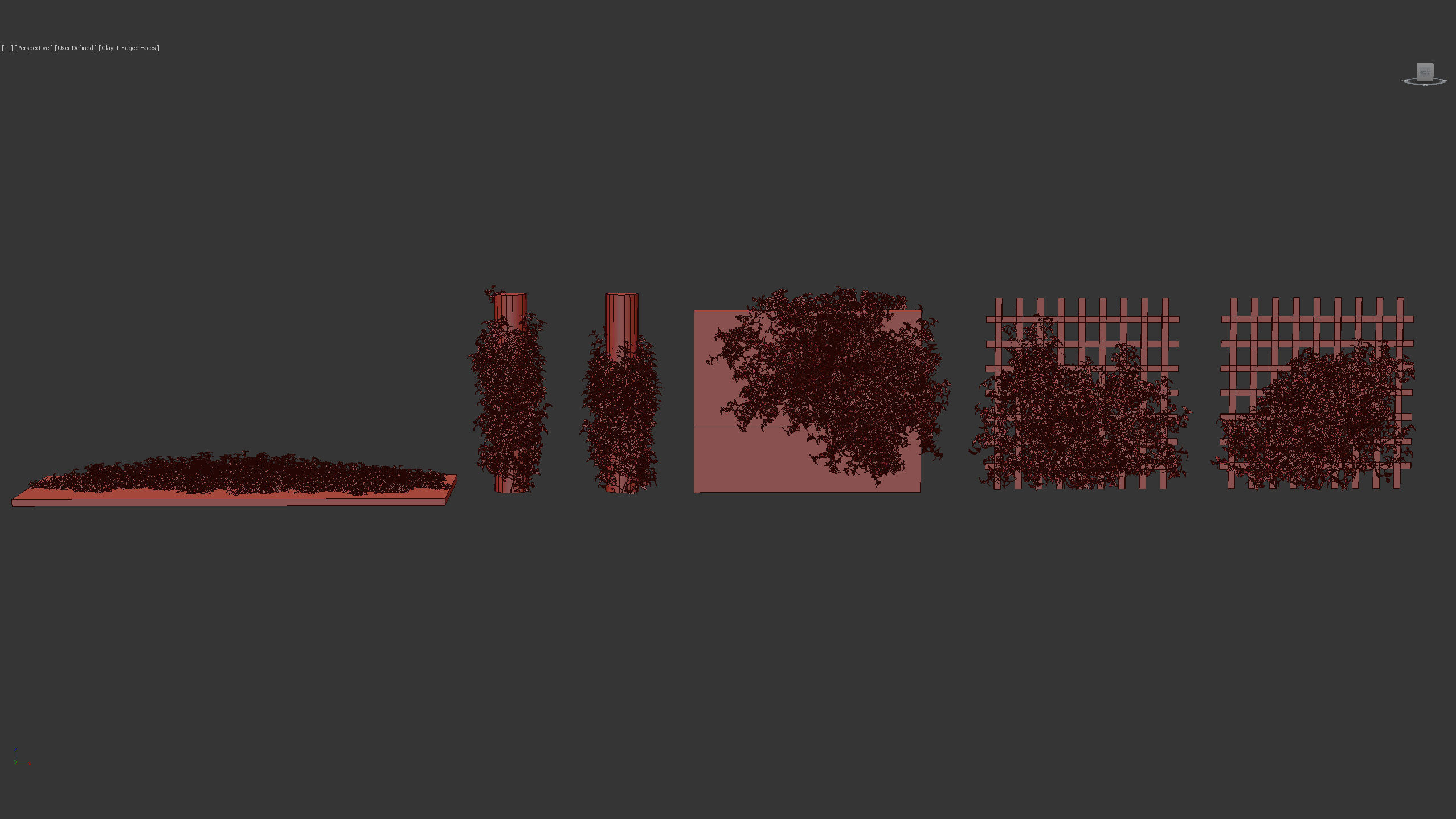 Tradescantia zebrina Wandering jew 3D Model 3D model_10