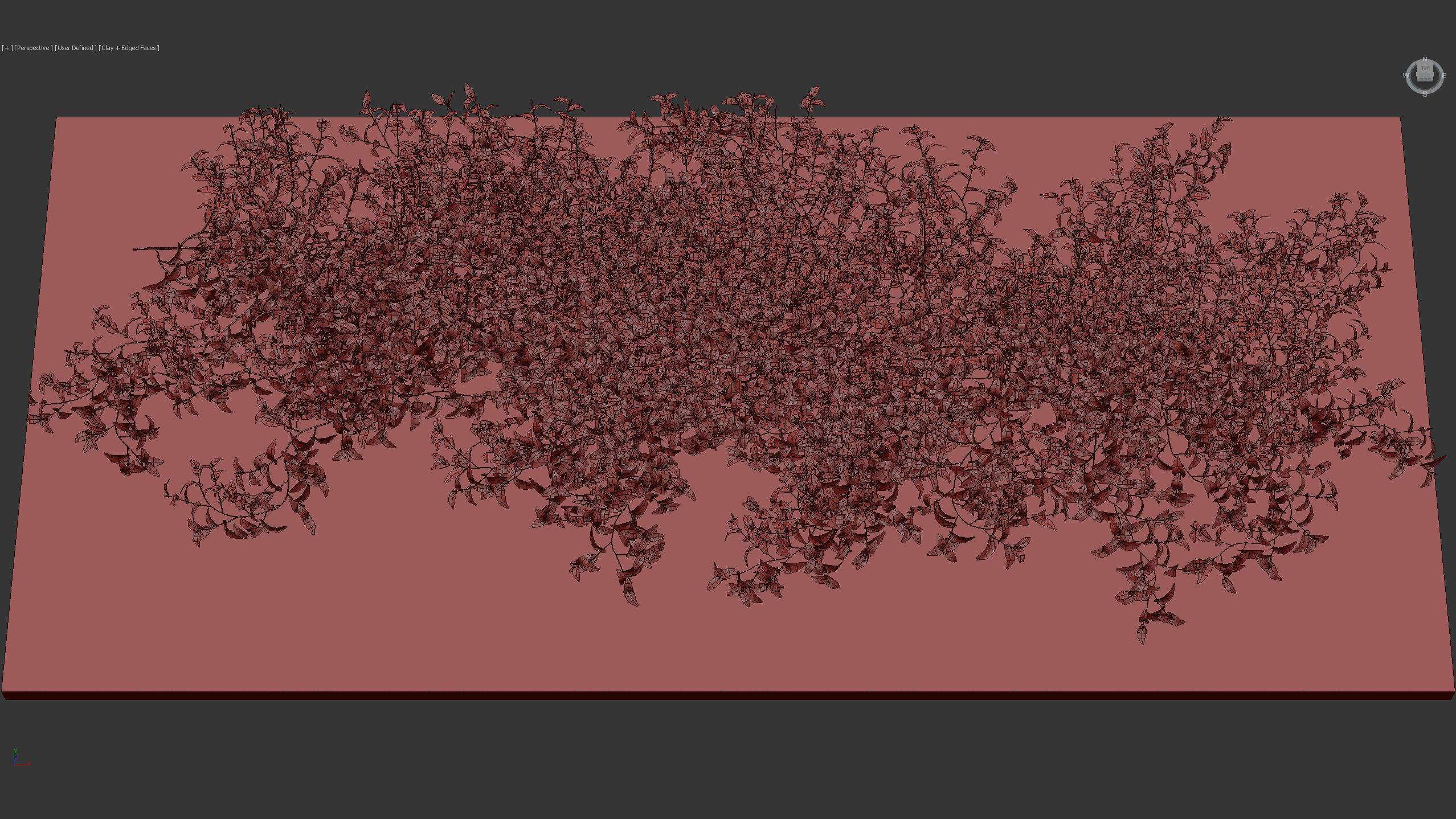 Tradescantia zebrina Wandering jew 3D Model 3D model_12