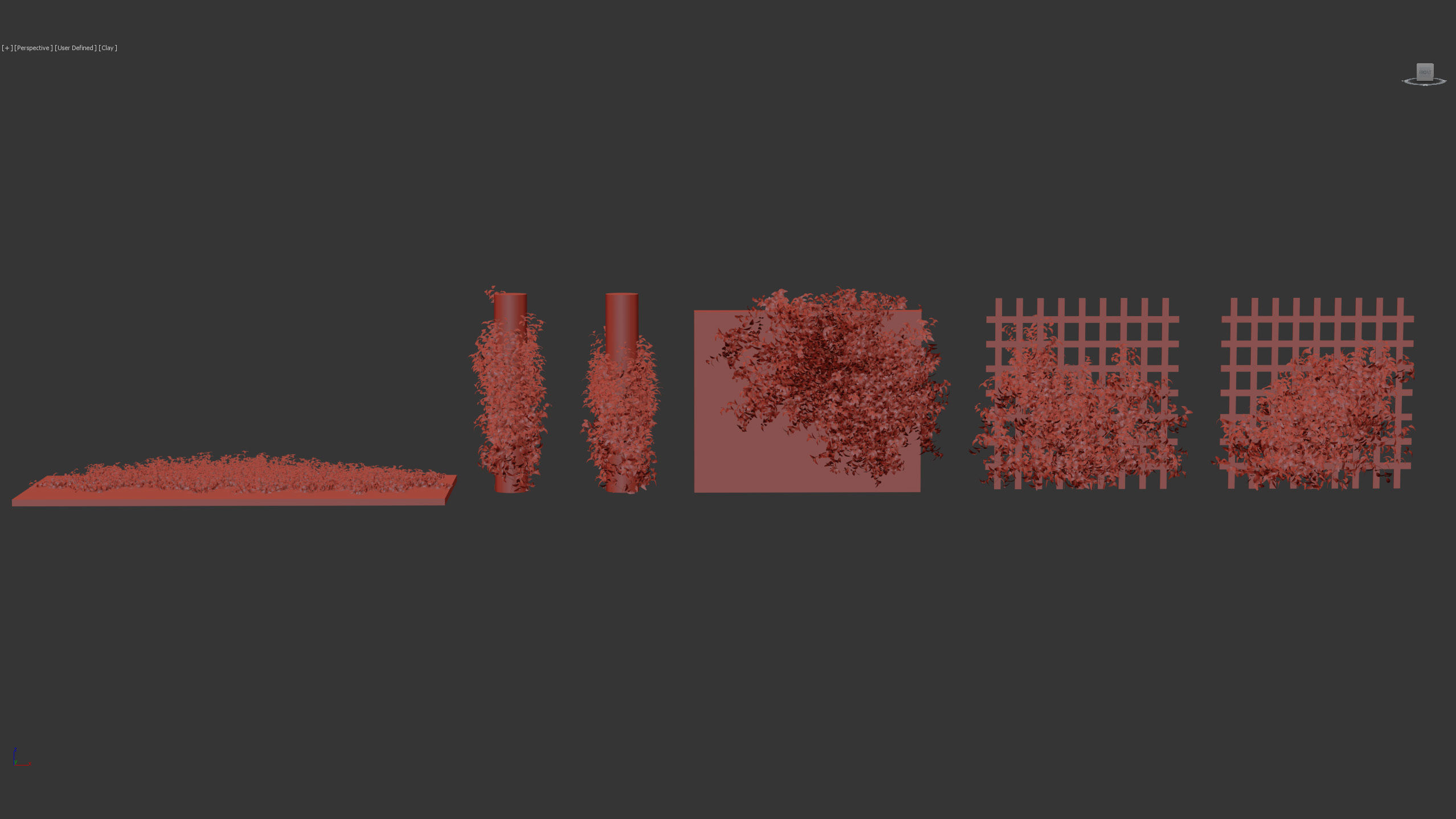 Tradescantia zebrina Wandering jew 3D Model 3D model_9