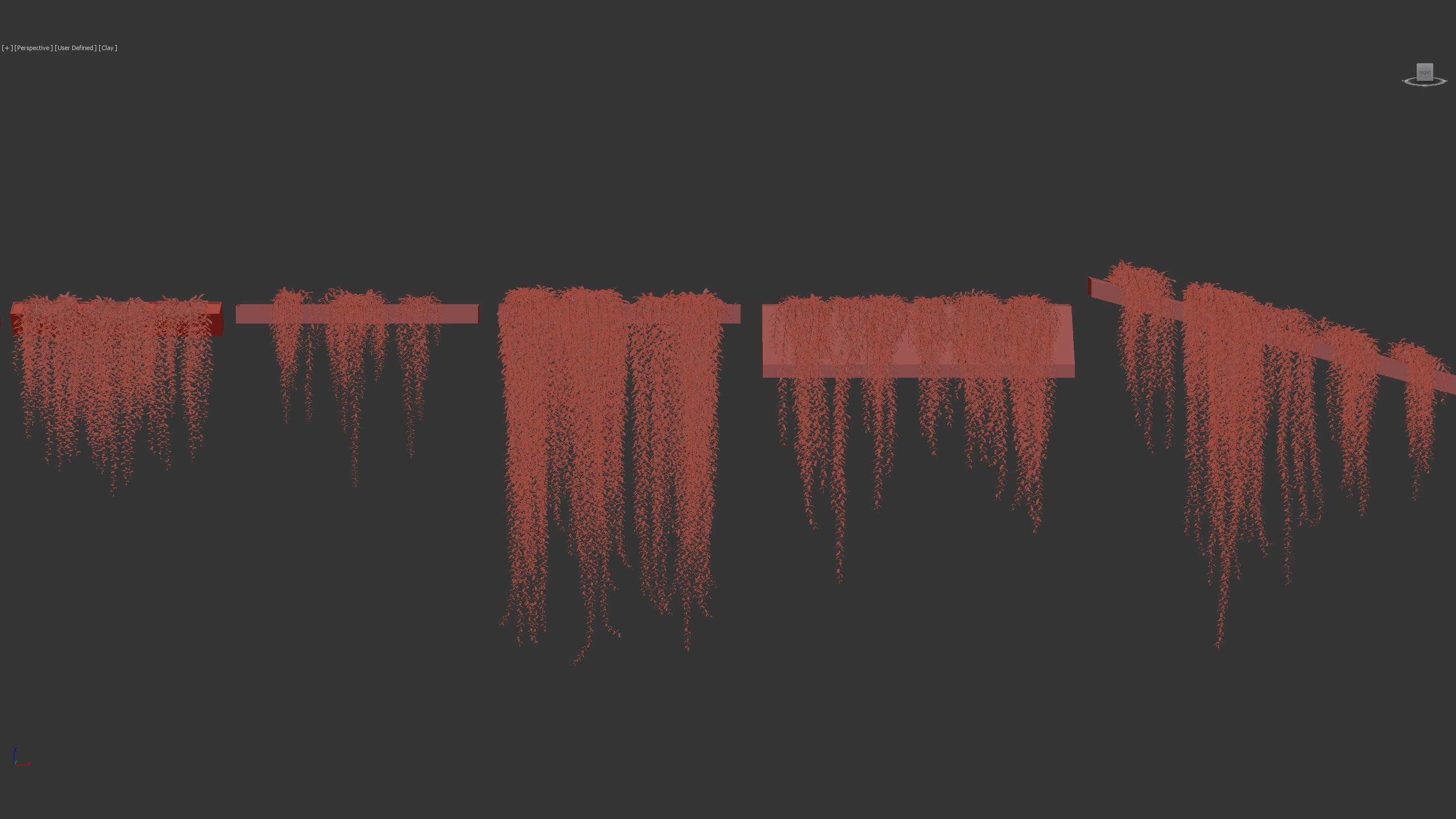 Tarlmounia elliptica Indian laurel 3D Model 3D model_9