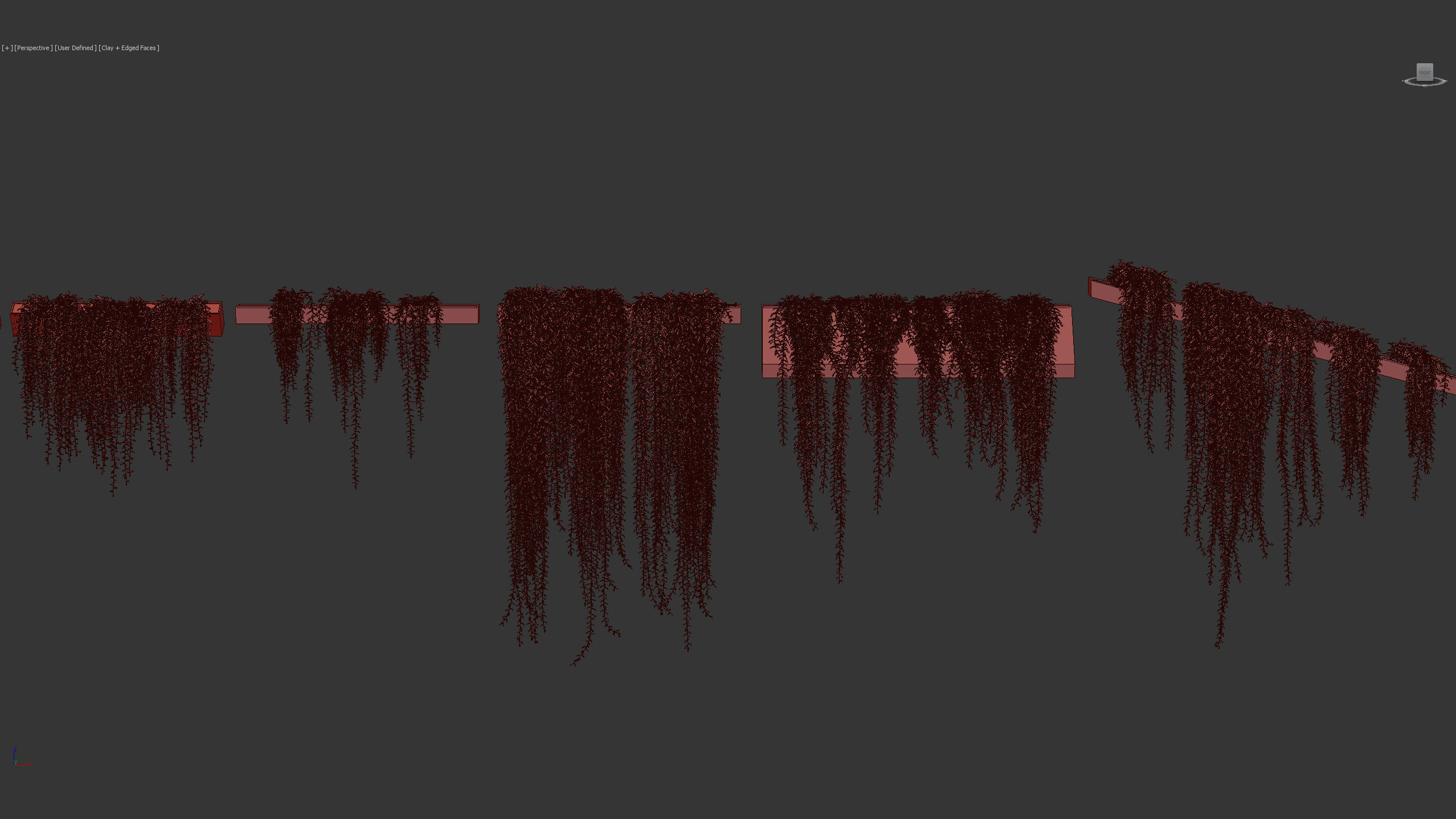 Tarlmounia elliptica Indian laurel 3D Model 3D model_10