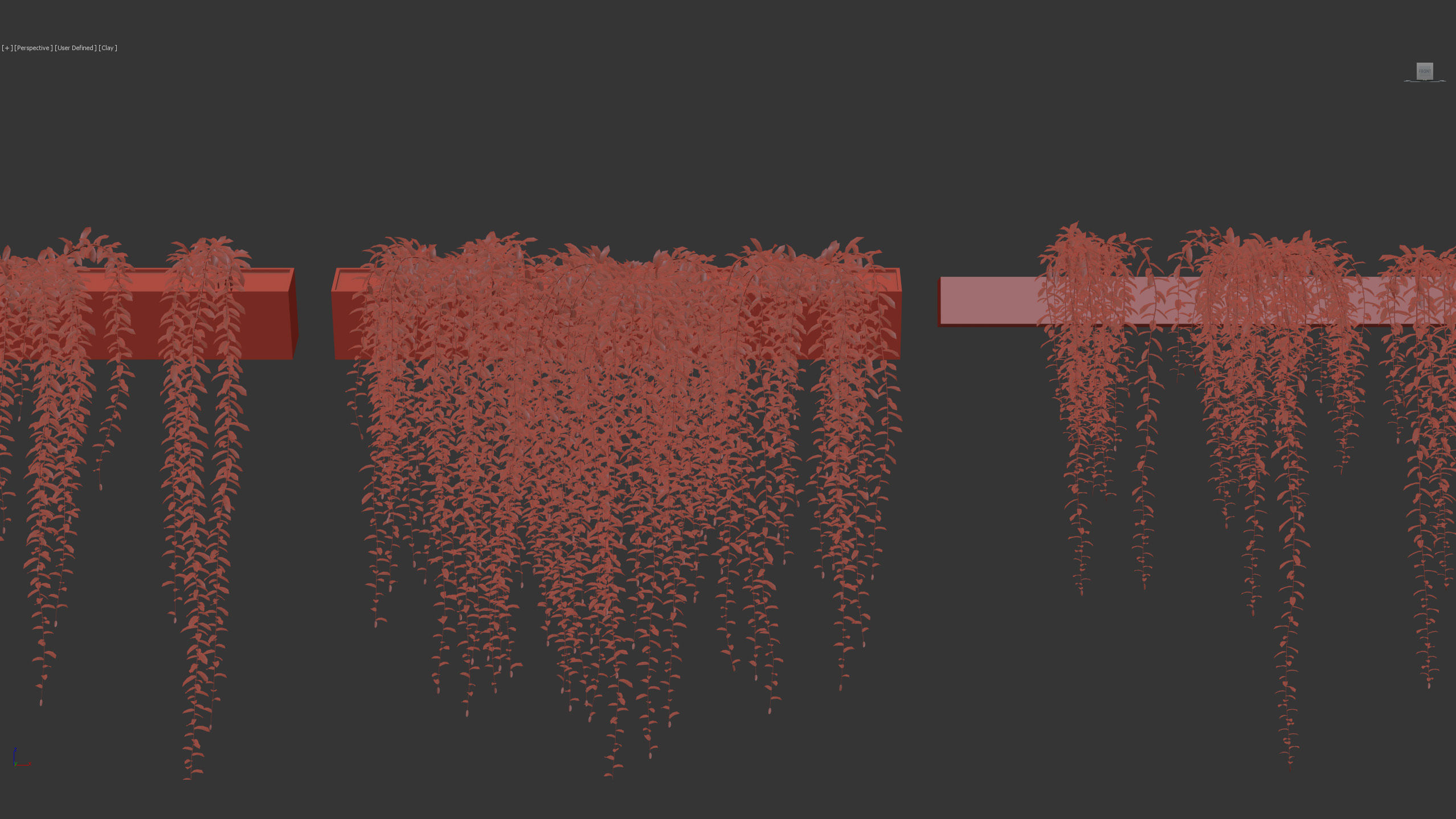 Tarlmounia elliptica Indian laurel 3D Model 3D model_13