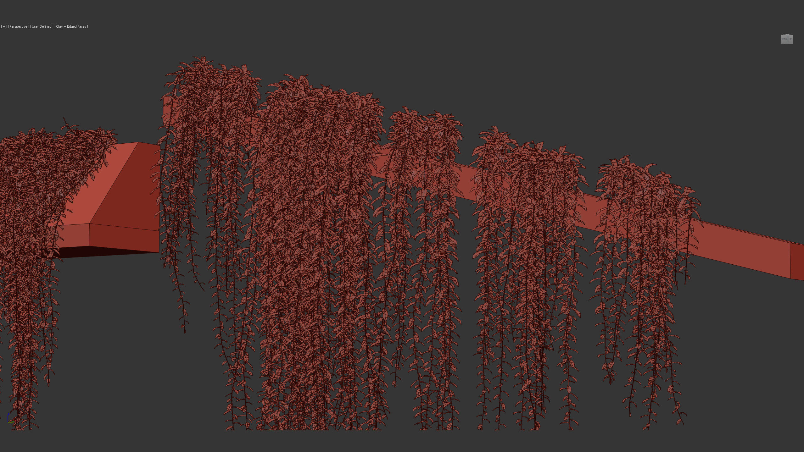 Tarlmounia elliptica Indian laurel 3D Model 3D model_12