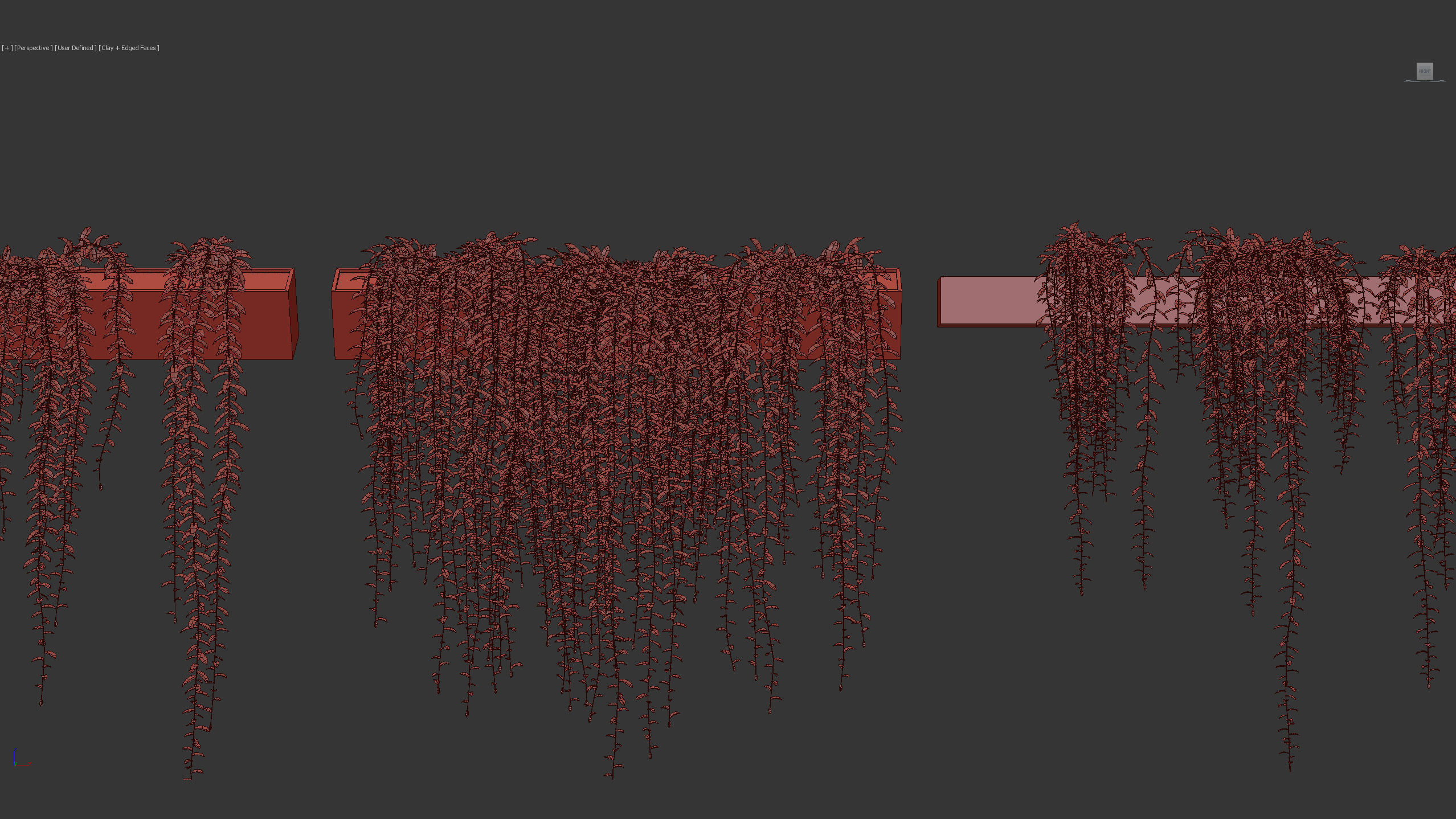 Tarlmounia elliptica Indian laurel 3D Model 3D model_14