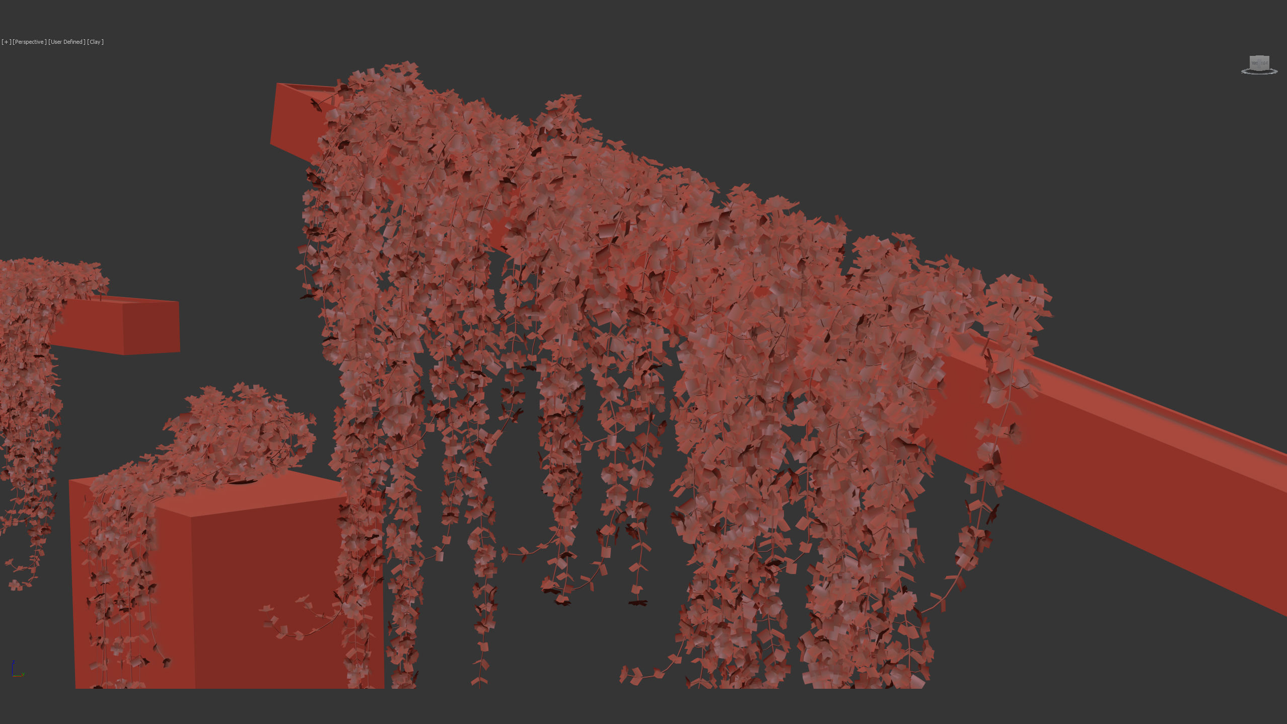 Pilea depressa Baby toes 3D Model 3D model_11