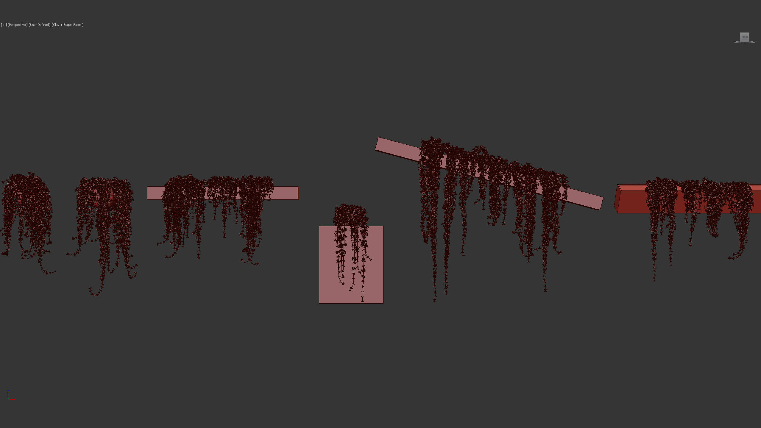 Pilea depressa Baby toes 3D Model 3D model_10