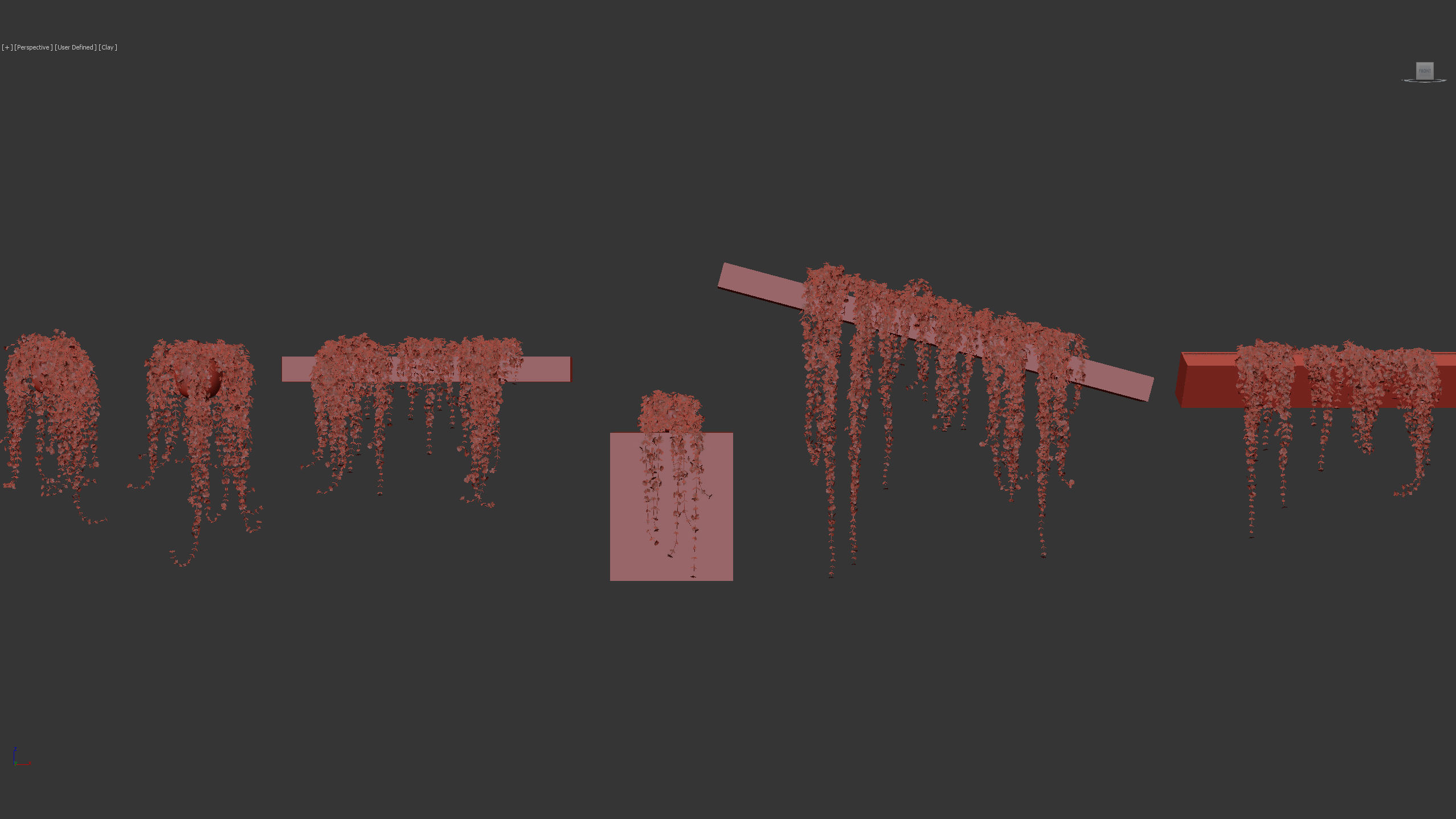 Pilea depressa Baby toes 3D Model 3D model_9