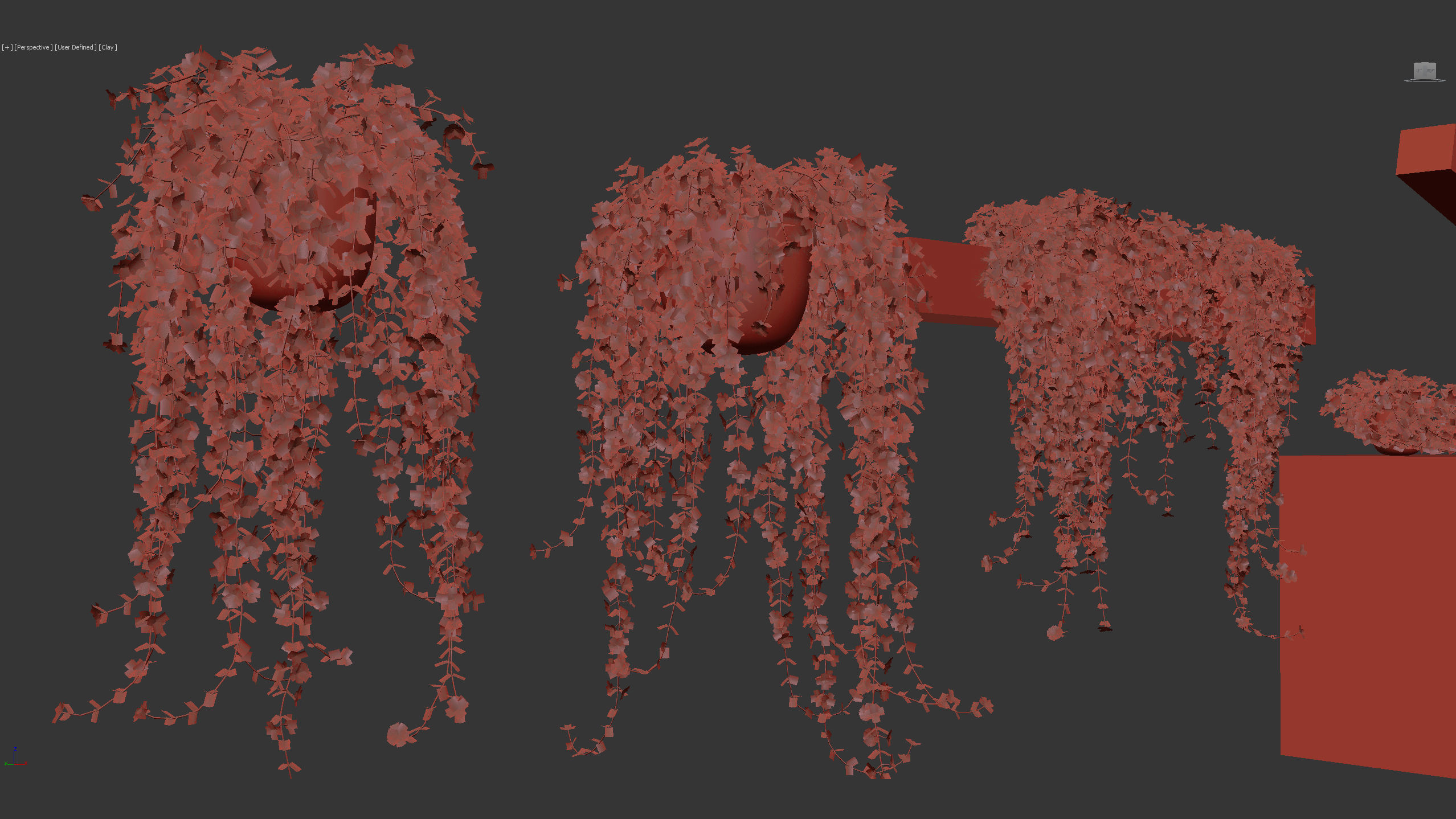 Pilea depressa Baby toes 3D Model 3D model_13