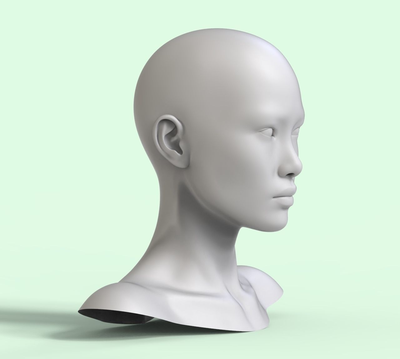 4 3D Head Face Female Character Women teenager portrait doll Low-poly 3D model_3