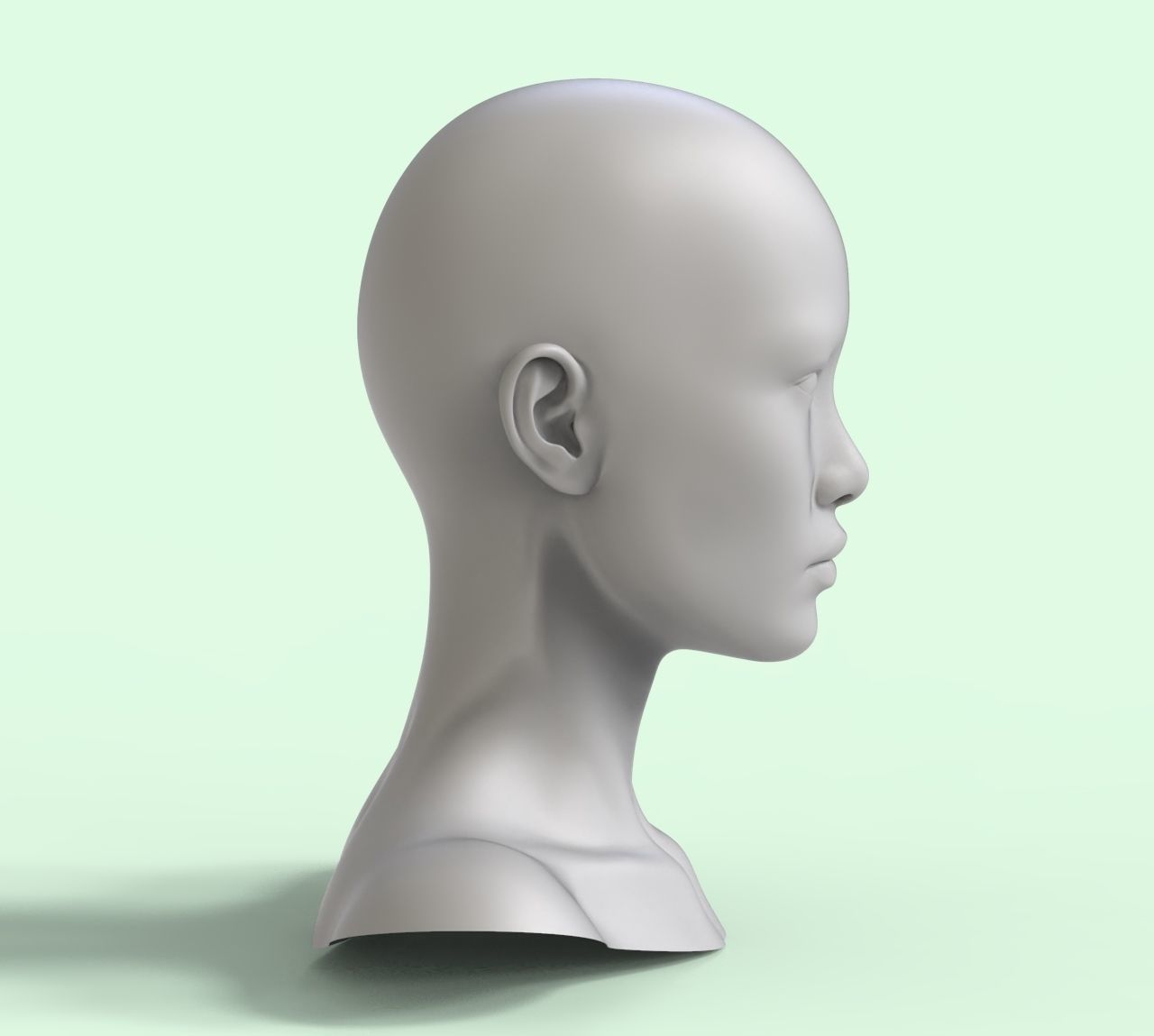 4 3D Head Face Female Character Women teenager portrait doll Low-poly 3D model_4