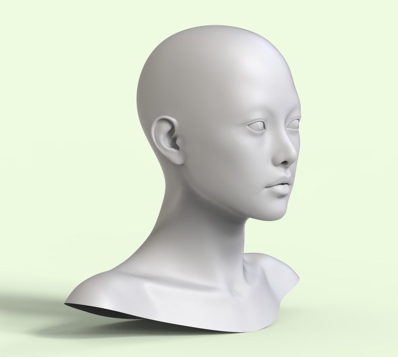 5 3D Head Face Eyes Female Character Women art portrait doll 3D Low-poly 3D model_3